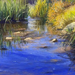 Sunlit Creek